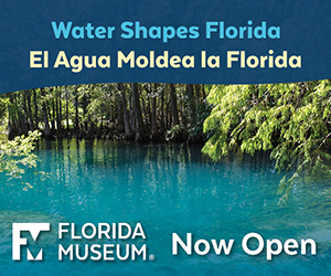 Florida Museum of Natural History Water Shapes Exhibit