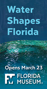 Florida Museum of Natural History Water Shapes Opening Day Exhibit