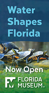 Florida Museum of Natural History Water Shapes Now Open