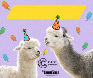 Cade Museum Birthday Bash