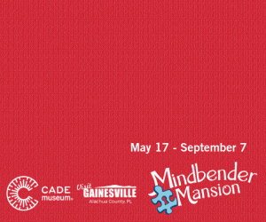 Cade Museum Mindbender Mansion