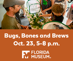 Florida Museum of Natural History Bugs Bones and Brews