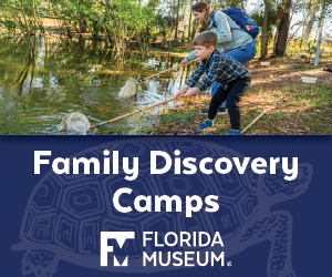 Florida Museum of Natural History Family Camps