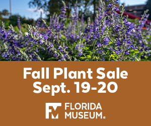 Florida Museum of Natural History Plant Sale