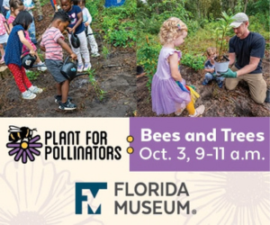 Florida Museum of Natural History Pollinator Palooza