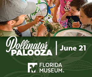 Florida Museum of Natural History Pollinator Palooza