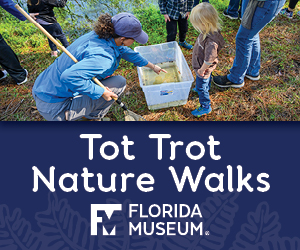 Florida Museum of Natural History Tot Trot