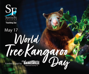 Santa Fe College Teaching Zoo Tree Kangaroo Day