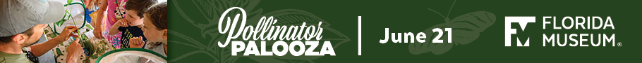 Florida Museum of Natural History Pollinator Palooza