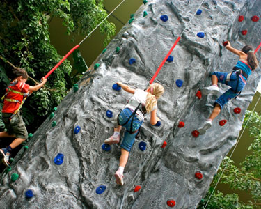 Kids Gainesville: Rock Climbing - Fun 4 Gator Kids