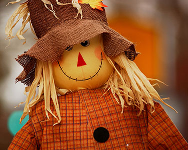 Kids Gainesville: Halloween and Fall Displays - Fun 4 Gator Kids