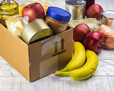 Kids Gainesville: Holiday Resources - Fun 4 Gator Kids