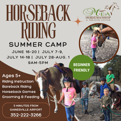 Madonna's Equestrian Academy Summer Camp