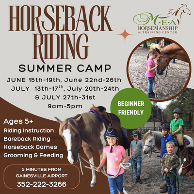 Madonna's Equestrian Academy Summer Camp