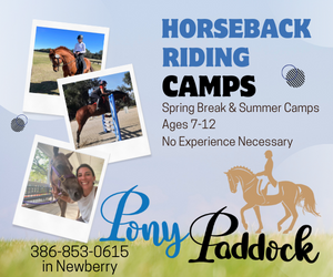 Pony Paddock Summer Camp