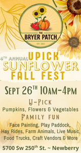 Bryer Patch Sunflower Fall Festival