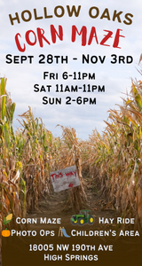 Hollow Oaks Corn Maze