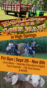 Hollow Oaks Corn Maze