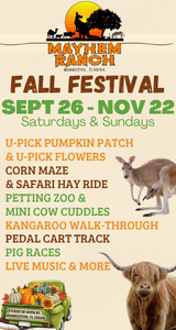 Mayhem Ranch Fall Festival