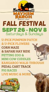 Mayhem Ranch Fall Festival