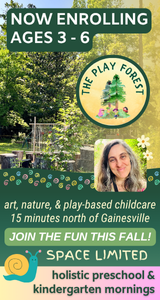 Play Forest Preschool