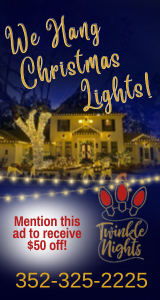 Twinkle Nights Holiday Lights
