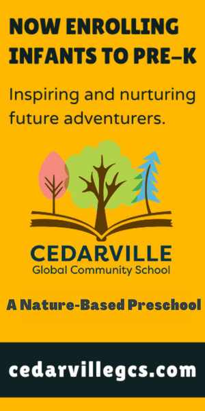 Cedarville Global Community School