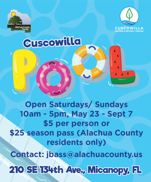 Cuscowilla Pool