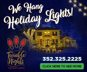 Twinkle Nights Holiday Lights
