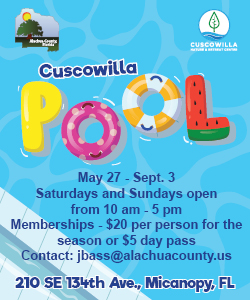 Cuscowilla Pool