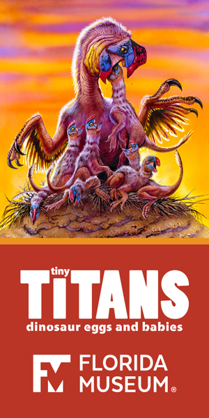 Florida Museum of Natural History - Tiny Titans
