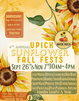 Bryer Patch Fall Sunflower Festival