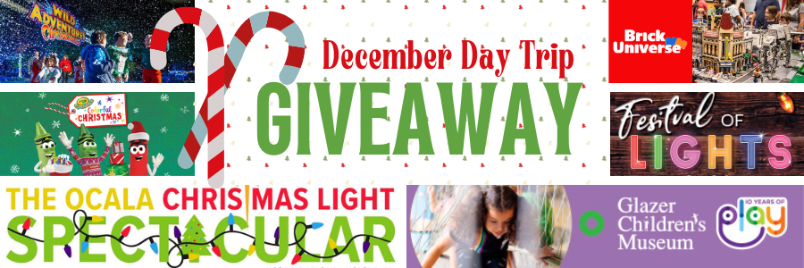 December Day Trip Giveaway!