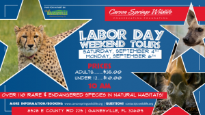 Carson-Springs---Labor-Day-21-2.PNG