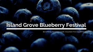 Island Grove Blueberry Festival.jpg
