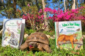 Gopher Tortoise with Picture Book
