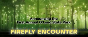 firefly.jpg