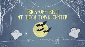 10.31 Trick or Treat at Tioga Town Center copy.jpg