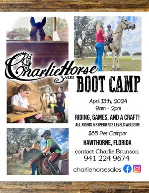 Boot Camp Flyer April-cmprsd.jpg