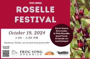 Roselle Festival - Editable annoucement.pdf.png