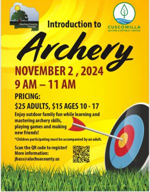 archery.jpg