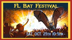 batfest.jpg