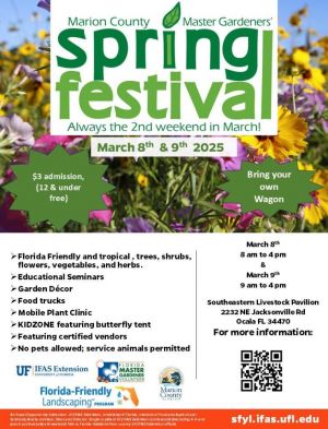 2025-Spring-Festival-Flyer--740x971.jpg