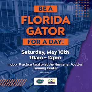 gator.jpg