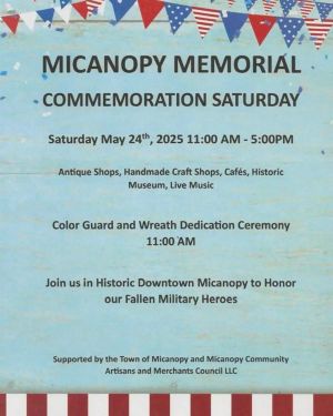 micanopy.jpg