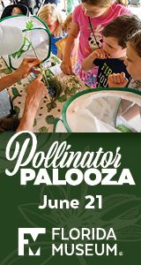 FLMNH-PollinatorPalooza-calendar.jpg