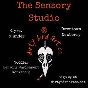 Sensorys Cool_20240408_102448_0000.png