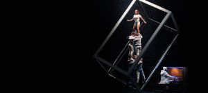 24_cirqueflip-1292x584-1.jpg