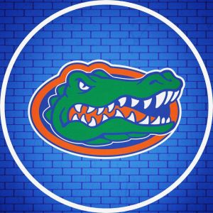 gatorsoftball.jpg