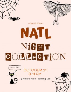 natlnight.jpg